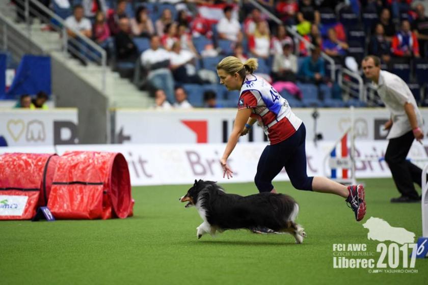 22688386_10210909653917620_9043307865413347780_n