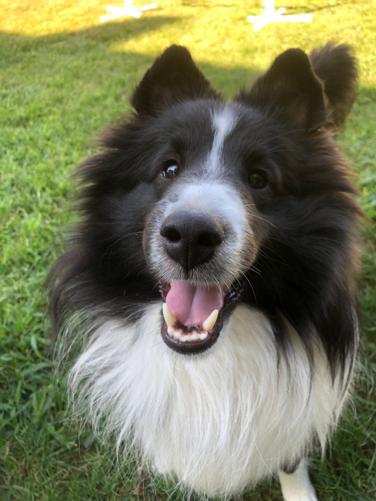 59061257367__2524AA20-E675-4D7A-AB7F-10173143A014